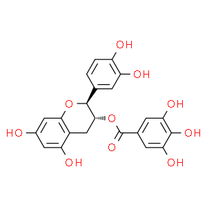 兒茶素沒食子酸酯