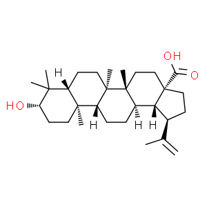 白樺脂酸